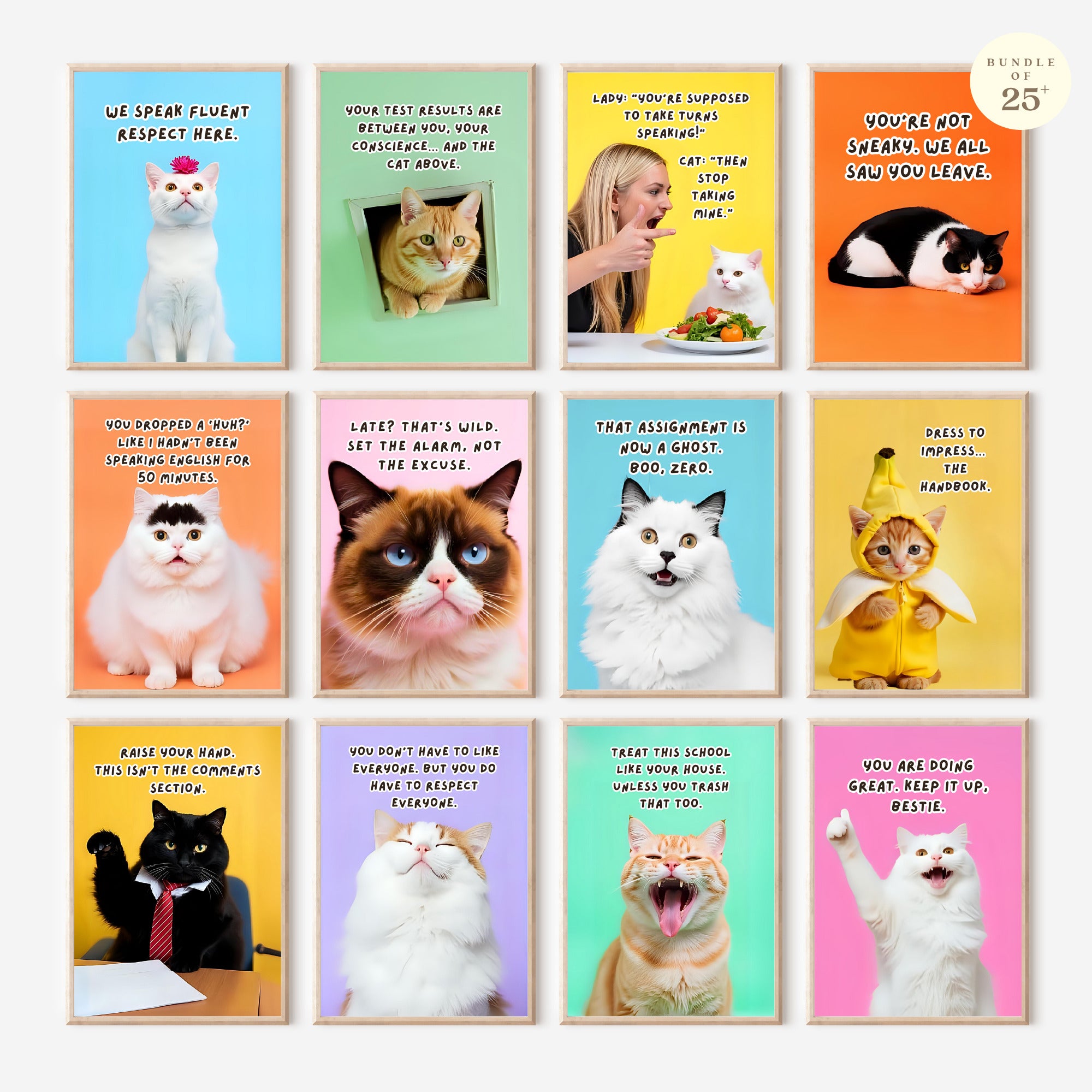 Printable funny class rules cat meme posters for middle school and high school classroom decor, teacher bulletin boards, and playful displays.