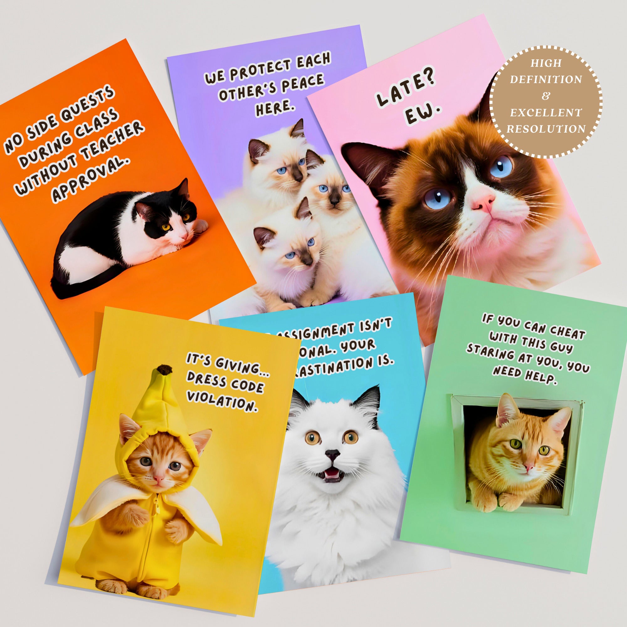 Printable funny class rules cat meme posters for middle school and high school classroom decor, teacher bulletin boards, and playful displays.
