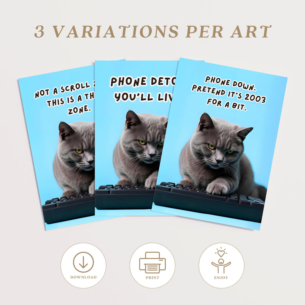 Printable funny class rules cat meme posters for middle school and high school classroom decor, teacher bulletin boards, and playful displays.