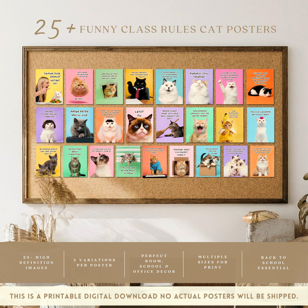 Printable funny class rules cat meme posters for middle school and high school classroom decor, teacher bulletin boards, and playful displays.