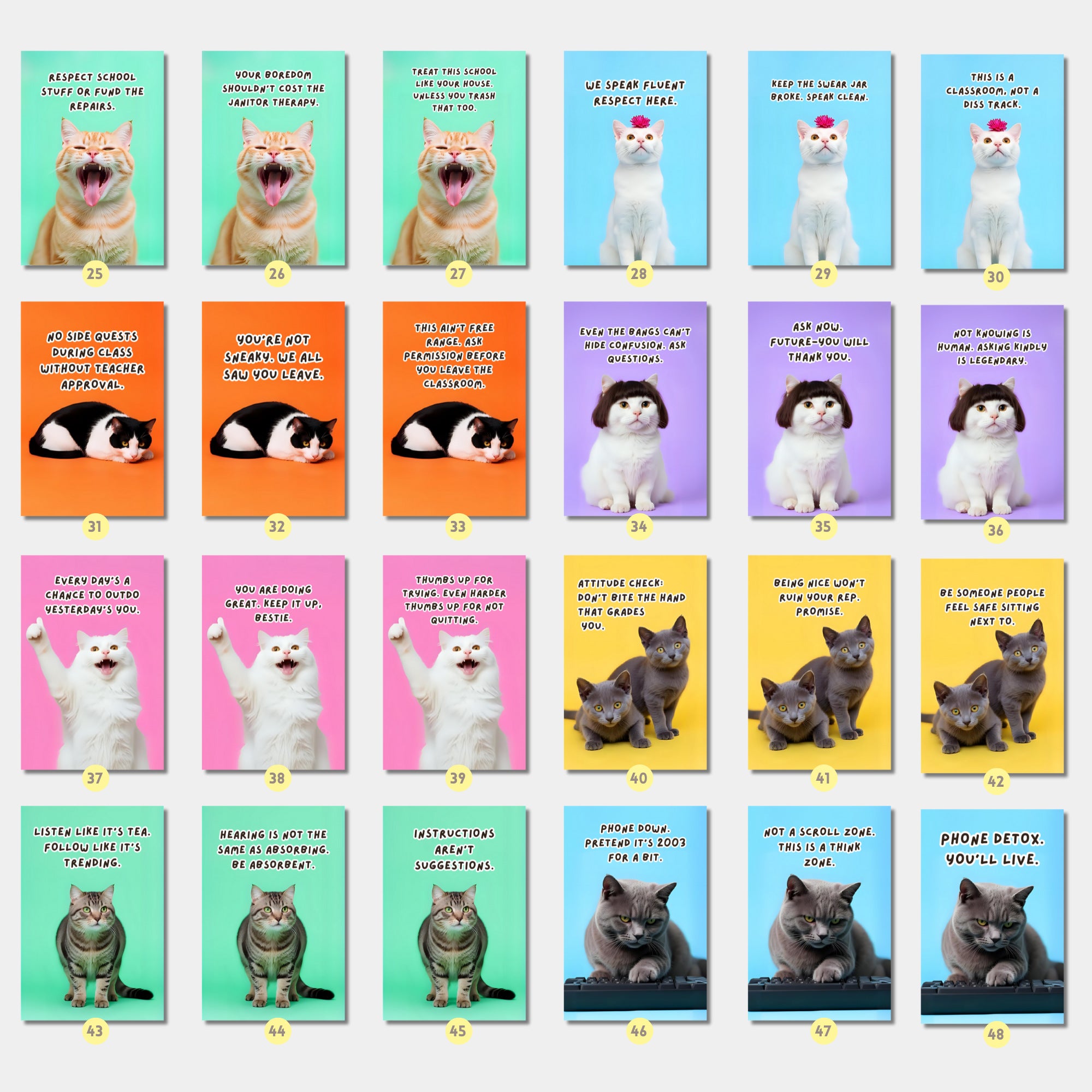 Printable funny class rules cat meme posters for middle school and high school classroom decor, teacher bulletin boards, and playful displays.